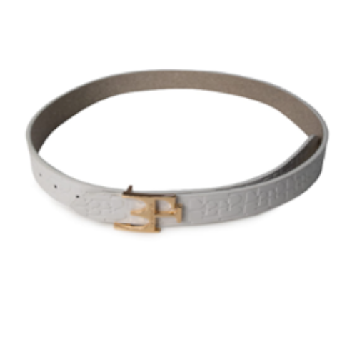 Double face Belt White/ Gold with gold bukcle